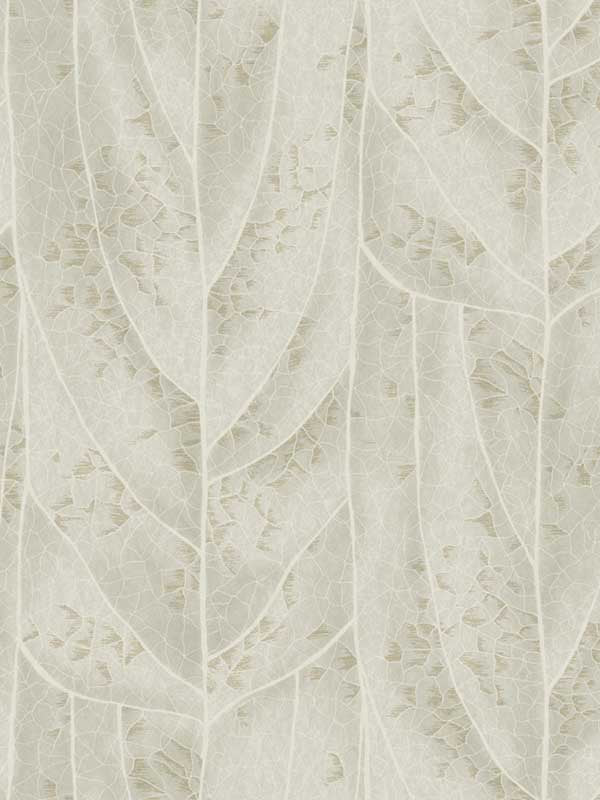 Dicot wallpaper in beige color - pattern number NT6144 - by Candice Olson in the Natural Discovery collection