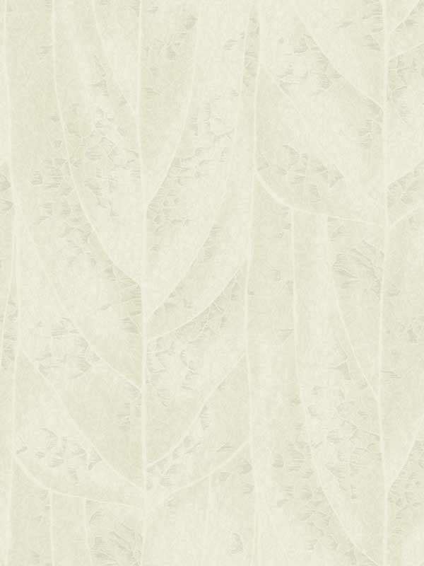 Dicot wallpaper in pearl color - pattern number NT6145 - by Candice Olson in the Natural Discovery collection