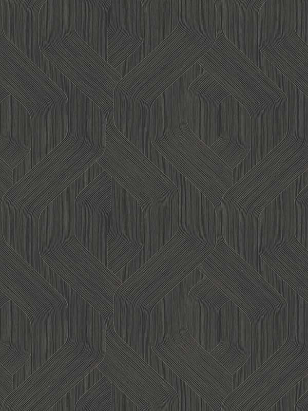 Fine Line fabric in black color - pattern number NT6192 - by Candice Olson in the Natural Discovery collection