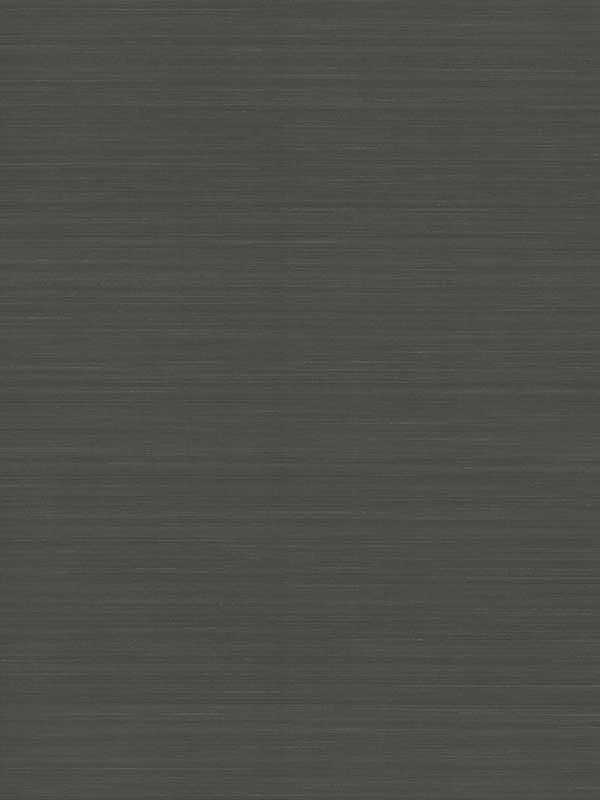 Quiet Vista wallpaper in ebony color - pattern number NT6203N - by Candice Olson in the Natural Discovery collection