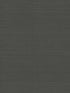 Quiet Vista wallpaper in ebony color - pattern number NT6203N - by Candice Olson in the Natural Discovery collection