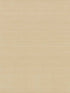 Quiet Vista wallpaper in desert color - pattern number NT6209N - by Candice Olson in the Natural Discovery collection