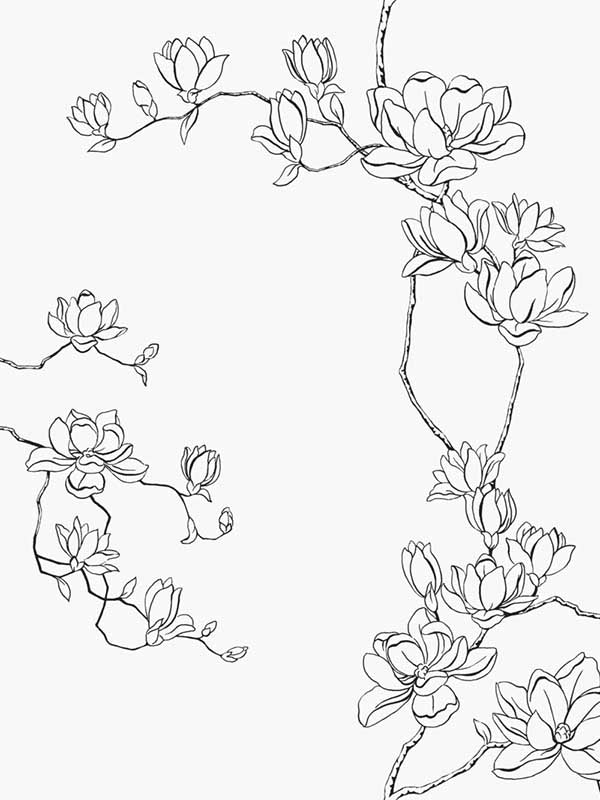 Magnolia Branches wallpaper in black color - pattern number MF4731 - by Magnolia Home by Joanna Gaines in the Magnolia Home Vol 4 collection