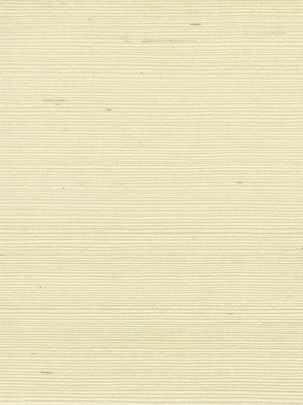 Sisal W4003 fabric in white ivory color - pattern number W4003.1.0 - by Kravet in the Elements II Naturals collection
