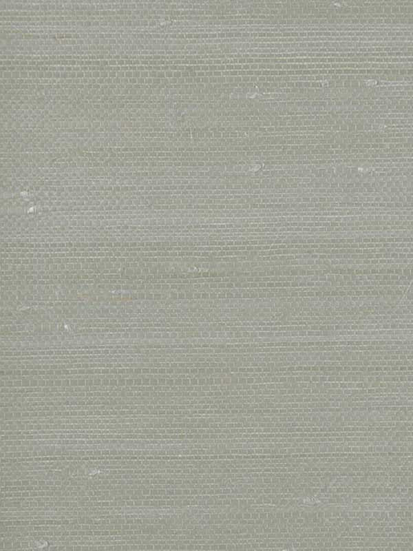 Grasscloth W3038 wallpaper in grey color - pattern number W3038.11.0 - by Kravet in the Elements II Naturals collection