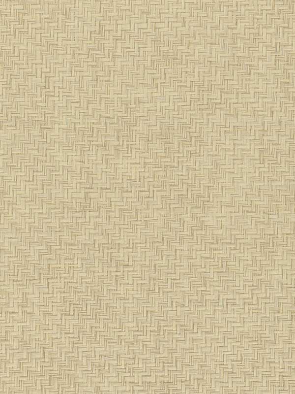 Grasscloth W4021 wallpaper in beige beige color - pattern number W4021.16.0 - by Kravet in the Elements II Naturals collection