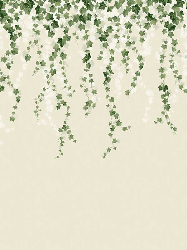 Trailing Ivy 6 Panel mural in green color - pattern number 4164-50942 - by Advantage in the Westbury Forest collection