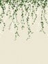 Trailing Ivy 6 Panel mural in green color - pattern number 4164-50942 - by Advantage in the Westbury Forest collection