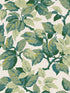 Canopy Leaf fabric in green color - pattern number 4164-M1804 - by Advantage in the Westbury Forest collection