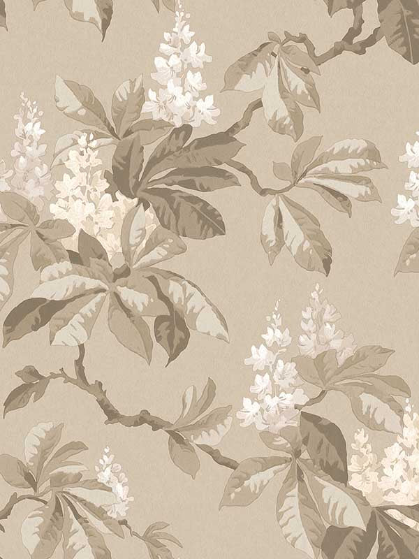 Chestnut Floral wallpaper in beige color - pattern number 4164-M1820 - by Advantage in the Westbury Forest collection