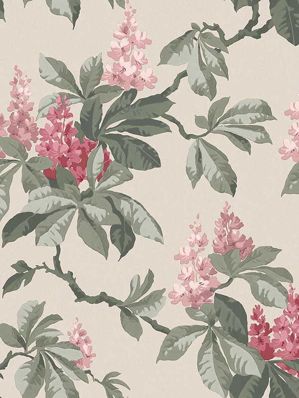 Chestnut Floral wallpaper in pink color - pattern number 4164-M1822 - by Advantage in the Westbury Forest collection