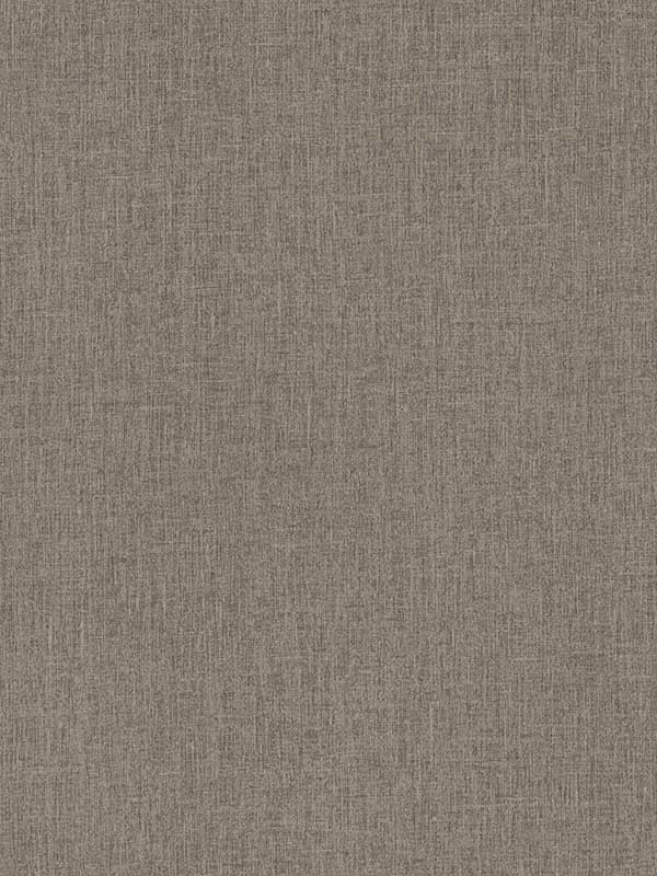 Cromie Texture wallpaper in brown color - pattern number 4135-6905 - by A Street Prints in the Whimsy collection