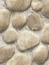 Root Rock fabric in beige color - pattern number 4142-72612 - by Chesapeake in the Yellowstone collection