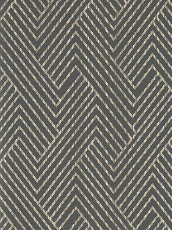 Grassetto fabric in charcoal color - pattern number W0181/01.CAC.0 - by Clarke and Clarke in the Vivido collection