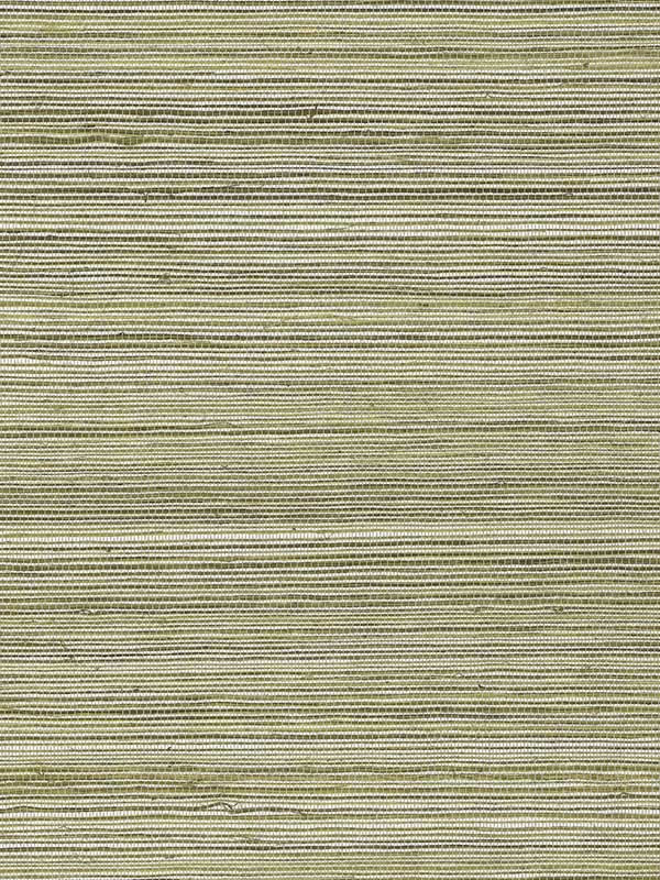 Raffia wallpaper in charcoal color - pattern number MI4765 - by York in the Missoni Home 05 collection