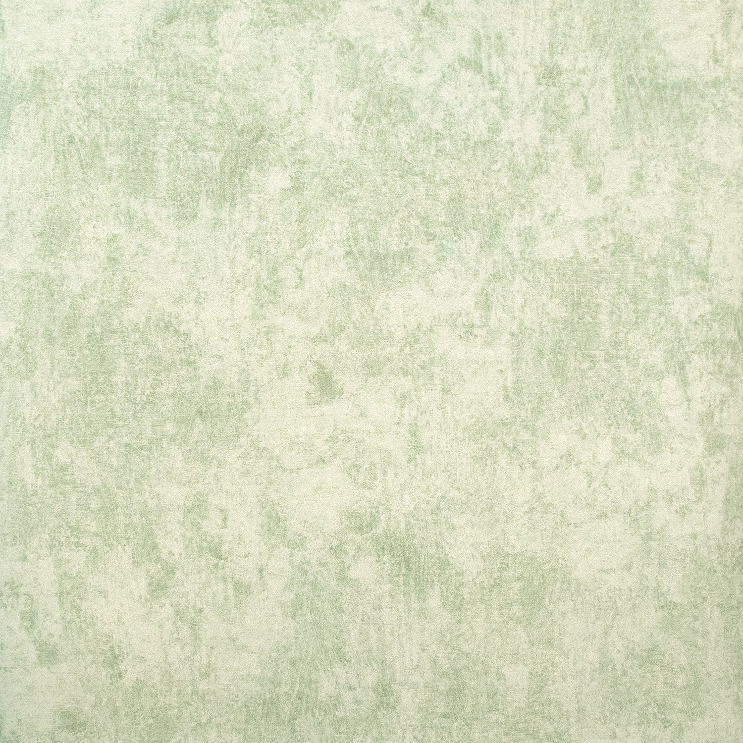 Monstera Plain wallpaper in green color - pattern number GH26945-23 - by Galerie in the Julie Feels Home collection