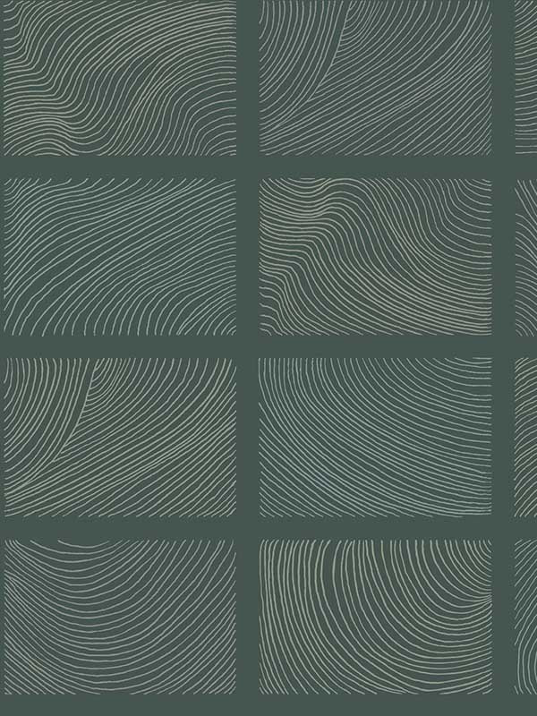 Bronson Topography wallpaper in evergreen color - pattern number 4155-72800 - by A Street Prints in the Drew and Jonathan Home Fourth Edition collection