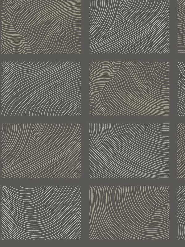 Bronson Topography wallpaper in slate color - pattern number 4155-72801 - by A Street Prints in the Drew and Jonathan Home Fourth Edition collection