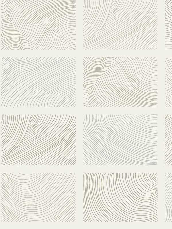 Bronson Topography fabric in ivory color - pattern number 4155-72803 - by A Street Prints in the Drew and Jonathan Home Fourth Edition collection