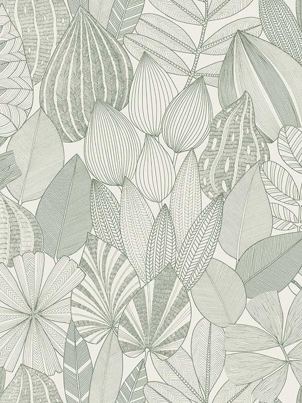 Mathias Botanical wallpaper in green color - pattern number 4155-72811 - by A Street Prints in the Drew and Jonathan Home Fourth Edition collection