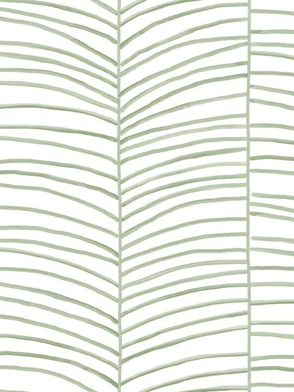 Cascade Palm Chevron wallpaper in palm color - pattern number MT5674 - by York in the Montecito collection