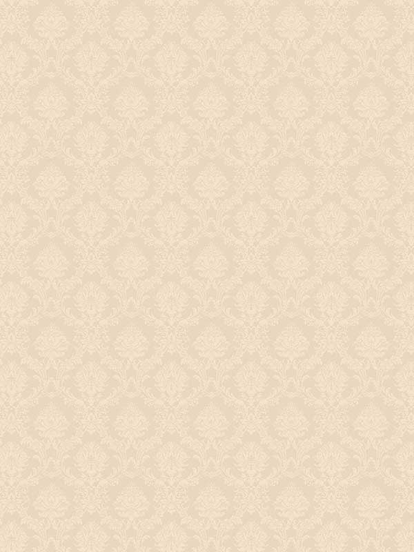 Mini Damask wallpaper in pearl cream color - pattern number CI38250 - by Patton Norwall in the Classic Impressions collection