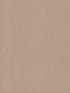 Evermore Woven fabric in wheat color - pattern number 4178-4409 - by Warner in the Modern Expressions collection