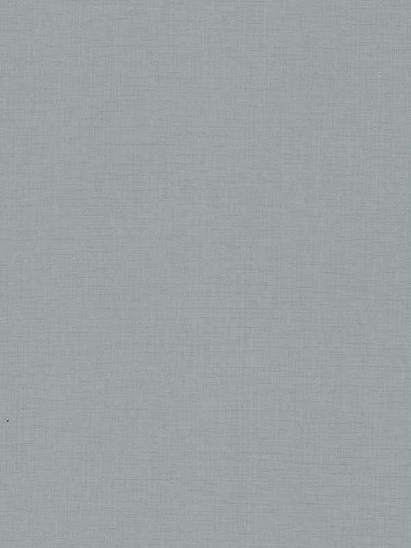 Evermore Woven fabric in light blue color - pattern number 4178-4415 - by Warner in the Modern Expressions collection