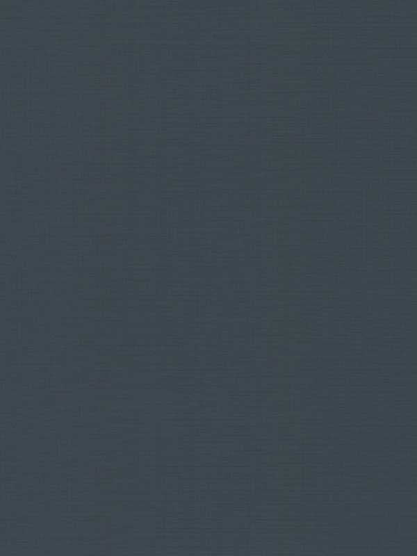 Evermore Woven fabric in dark blue color - pattern number 4178-4416 - by Warner in the Modern Expressions collection