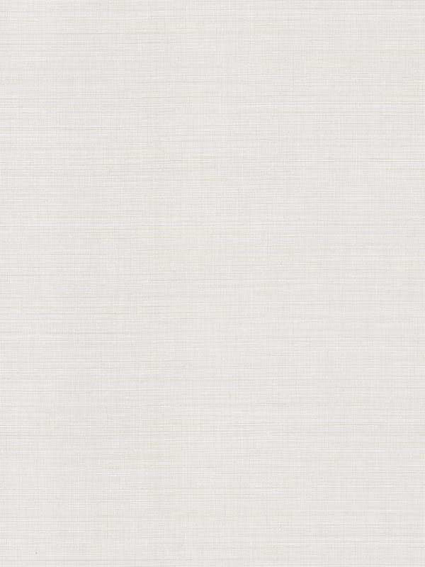 Malik Netting wallpaper in white color - pattern number 4184-4942 - by Warner in the Infinity collection