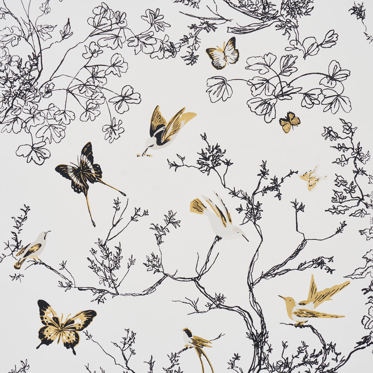 Birds and Butterflies Wallpaper in black and gold color - pattern number 2704424 - by Schumacher in the Perennial Favorites collection