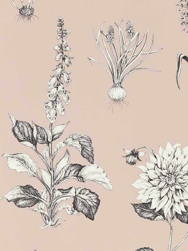 Roseraie fabric in blush color - pattern number W0197/01.CAC.0 - by Clarke and Clarke in the Secret Garden Wallcoverings collection