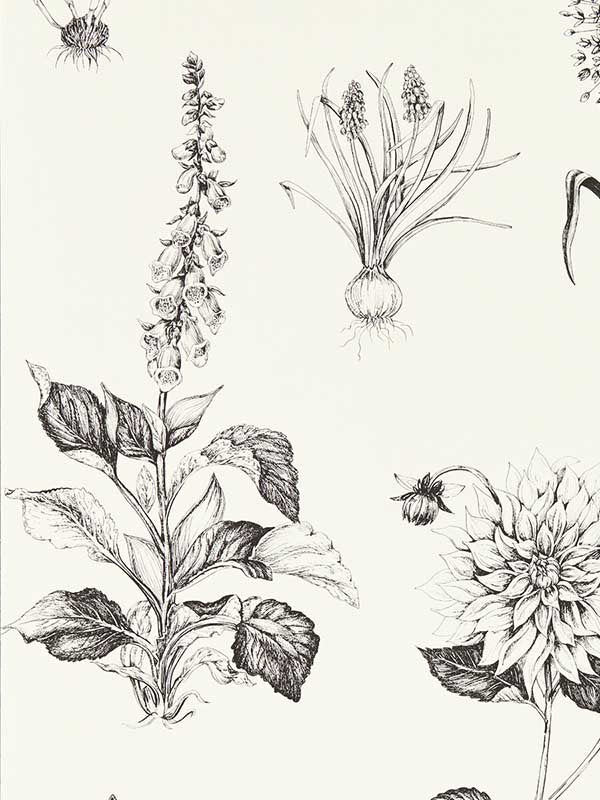 Roseraie fabric in charcoal color - pattern number W0197/02.CAC.0 - by Clarke and Clarke in the Secret Garden Wallcoverings collection