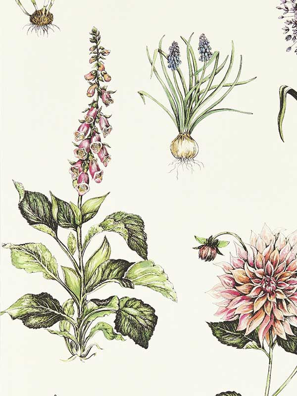 Roseraie fabric in summer color - pattern number W0197/05.CAC.0 - by Clarke and Clarke in the Secret Garden Wallcoverings collection