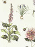 Roseraie fabric in summer color - pattern number W0197/05.CAC.0 - by Clarke and Clarke in the Secret Garden Wallcoverings collection