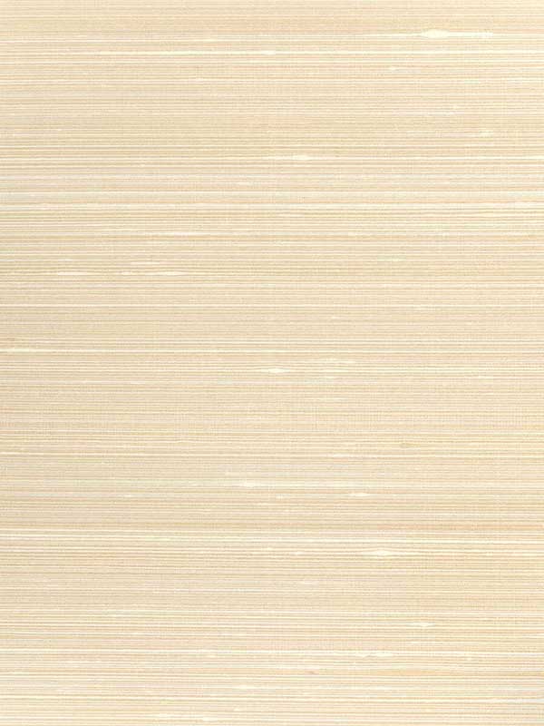 Grayson fabric in seashell color - pattern number WNS5525.WT.0 - by Winfield Thybony in the Classic Elegance collection
