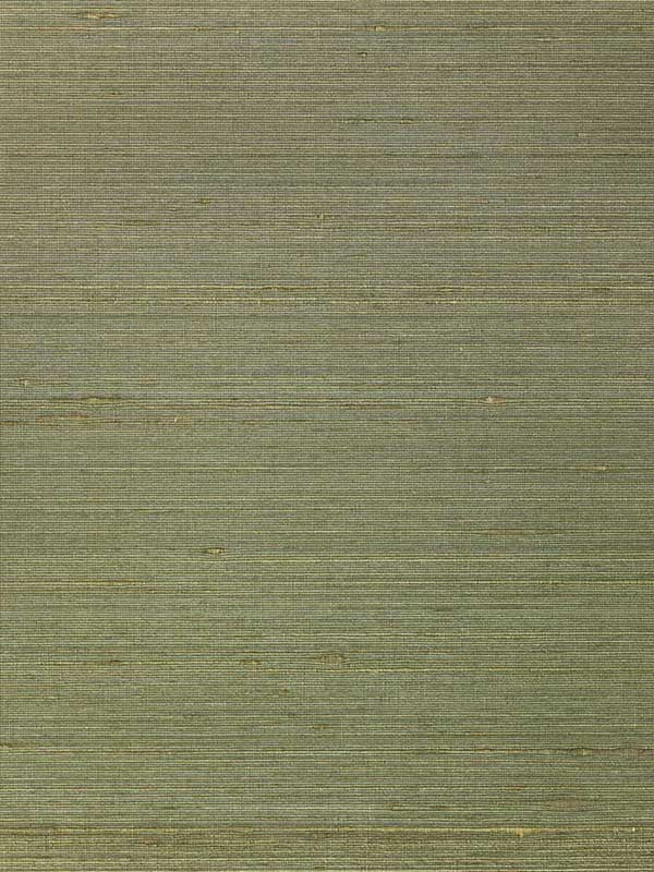 Ambrose wallpaper in forest color - pattern number WNS5553.WT.0 - by Winfield Thybony in the Classic Elegance collection
