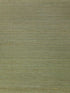 Ambrose wallpaper in forest color - pattern number WNS5553.WT.0 - by Winfield Thybony in the Classic Elegance collection