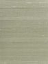 Ambrose wallpaper in sage color - pattern number WNS5556.WT.0 - by Winfield Thybony in the Classic Elegance collection