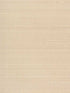 Carrington fabric in blush color - pattern number WNS5589.WT.0 - by Winfield Thybony in the Classic Elegance collection