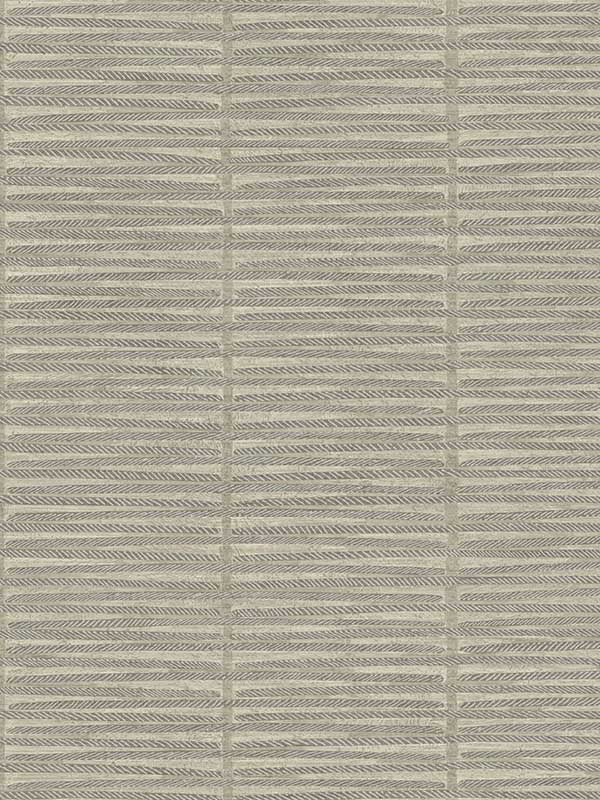 Iringa fabric in putty color - pattern number AB3052 - by Antonina Vella in the Artifacts collection