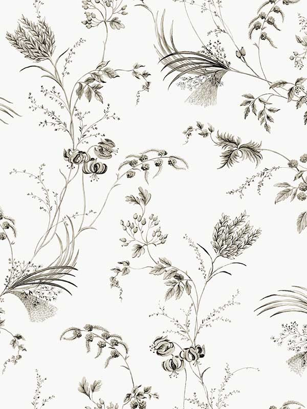 Floral Lace wallpaper in black color - pattern number MX9682 - by Ronald Redding in the Astoria collection