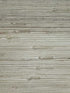 Mayu fabric in ivory color - pattern number WNR2004.WT.0 - by Winfield Thybony in the Natural Resources Vol. II collection