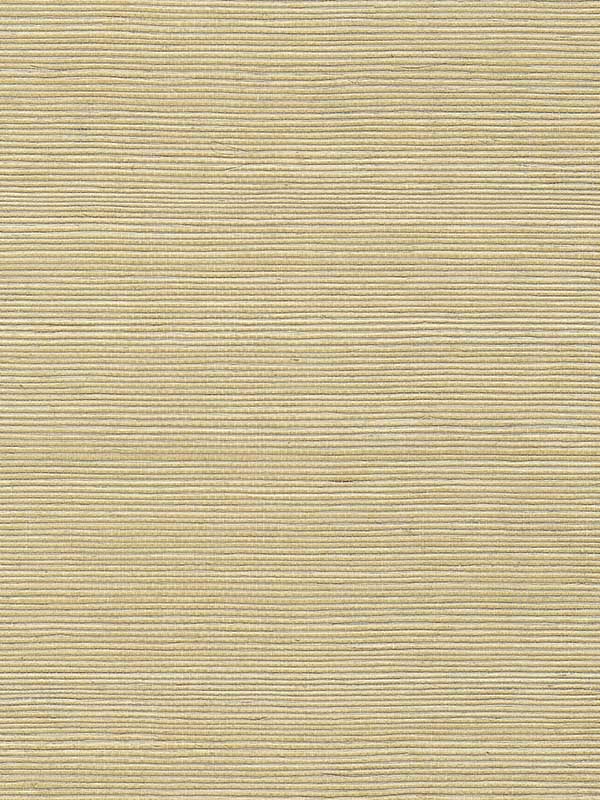 Chiyo Sisal wallpaper in sand color - pattern number WNR2063.WT.0 - by Winfield Thybony in the Natural Resources Vol. II collection