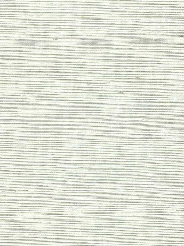 Chiyo Sisal wallpaper in hint of green color - pattern number WNR2105.WT.0 - by Winfield Thybony in the Natural Resources Vol. II collection