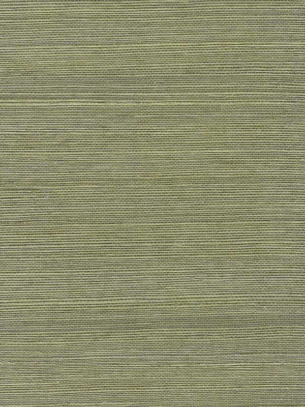 Chiyo Sisal wallpaper in moss color - pattern number WNR2112.WT.0 - by Winfield Thybony in the Natural Resources Vol. II collection