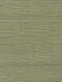 Chiyo Sisal wallpaper in moss color - pattern number WNR2112.WT.0 - by Winfield Thybony in the Natural Resources Vol. II collection