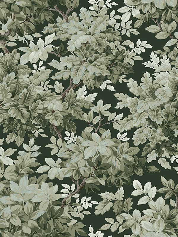 Greenwood Deciduous wallpaper in dark green color - pattern number 4147-80004 - by A Street Prints in the Haberdashery collection