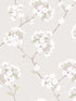 Wilma wallpaper in whisper color - pattern number WDR1015.WT.0 - by Winfield Thybony in the Archival Wallpaper Collection collection