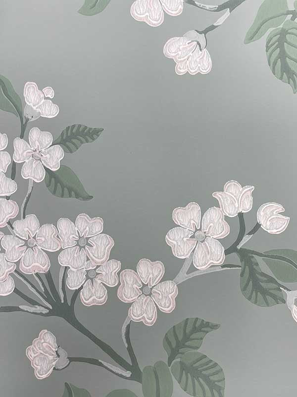 Blomma wallpaper in robins egg color - pattern number WDR1025.WT.0 - by Winfield Thybony in the Archival Wallpaper Collection collection
